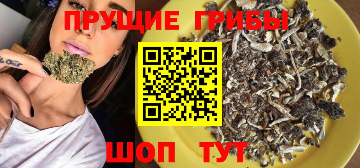 Псилоцибиновые грибы GOLDEN TEACHER Саяногорск