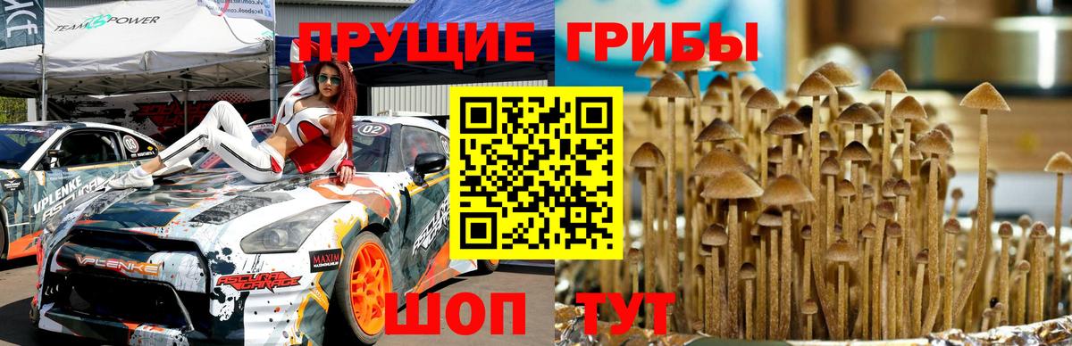Псилоцибиновые грибы мицелий  Вход с VPN  Саяногорск 